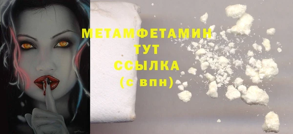 гидра Абаза