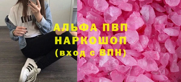 гидра Абаза