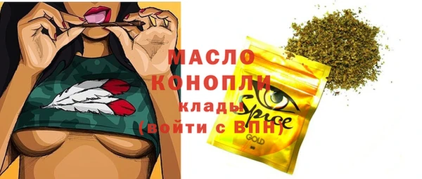 гидра Абаза