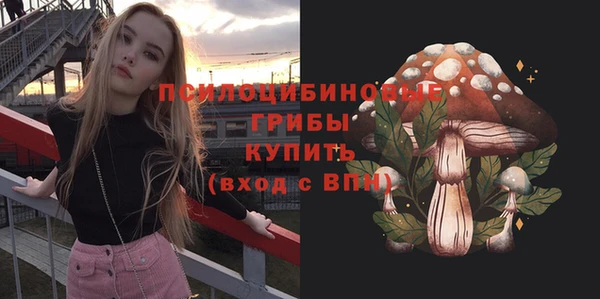 гидра Абаза